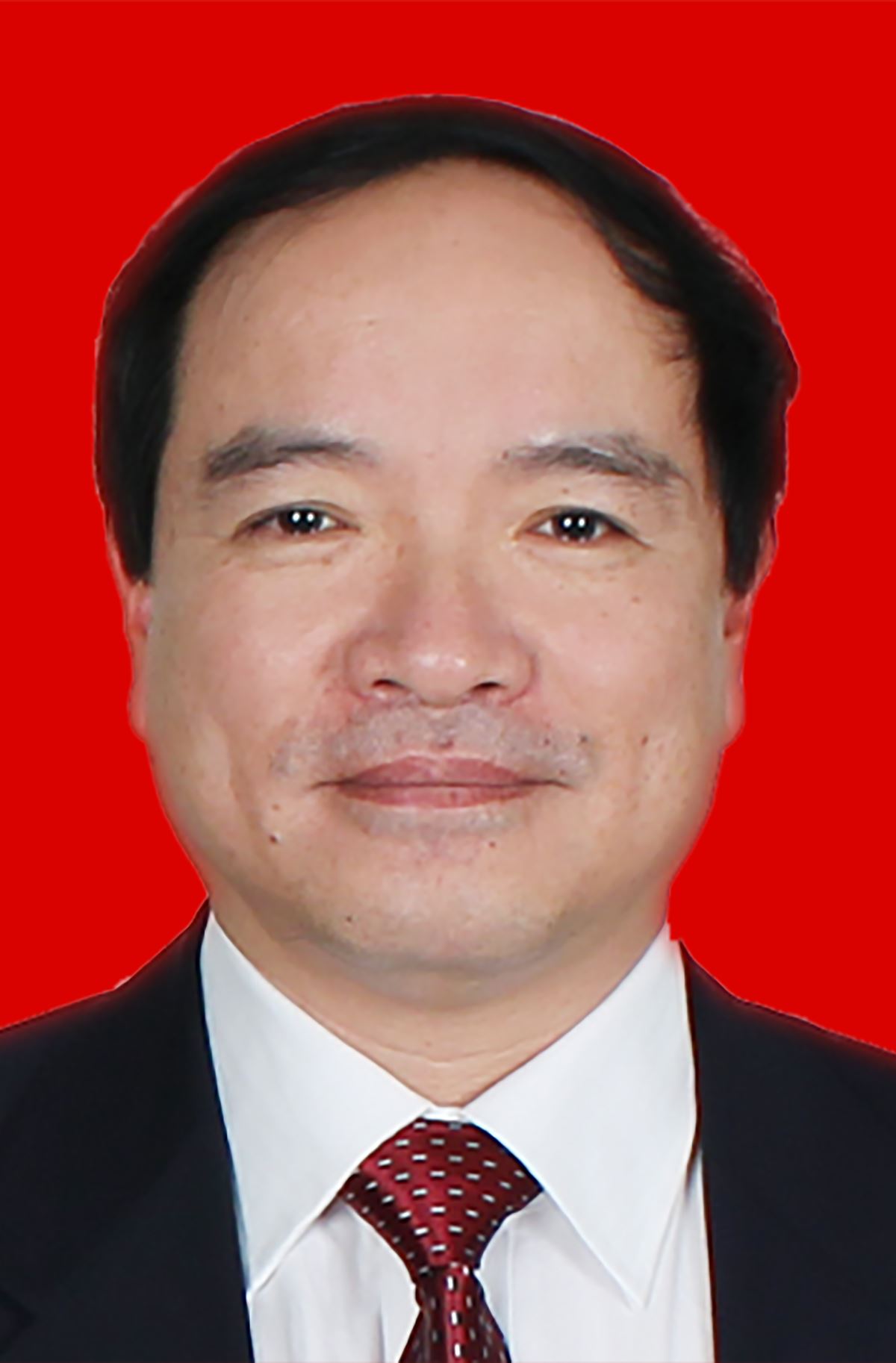 李庆 秘书长